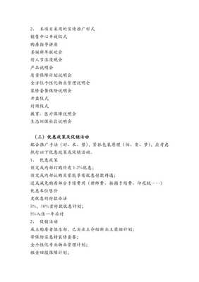 房地产经纪公司项目策划报告